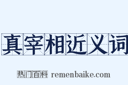 真宰相近义词是什么意思的图片